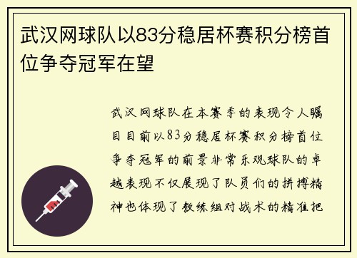 武汉网球队以83分稳居杯赛积分榜首位争夺冠军在望